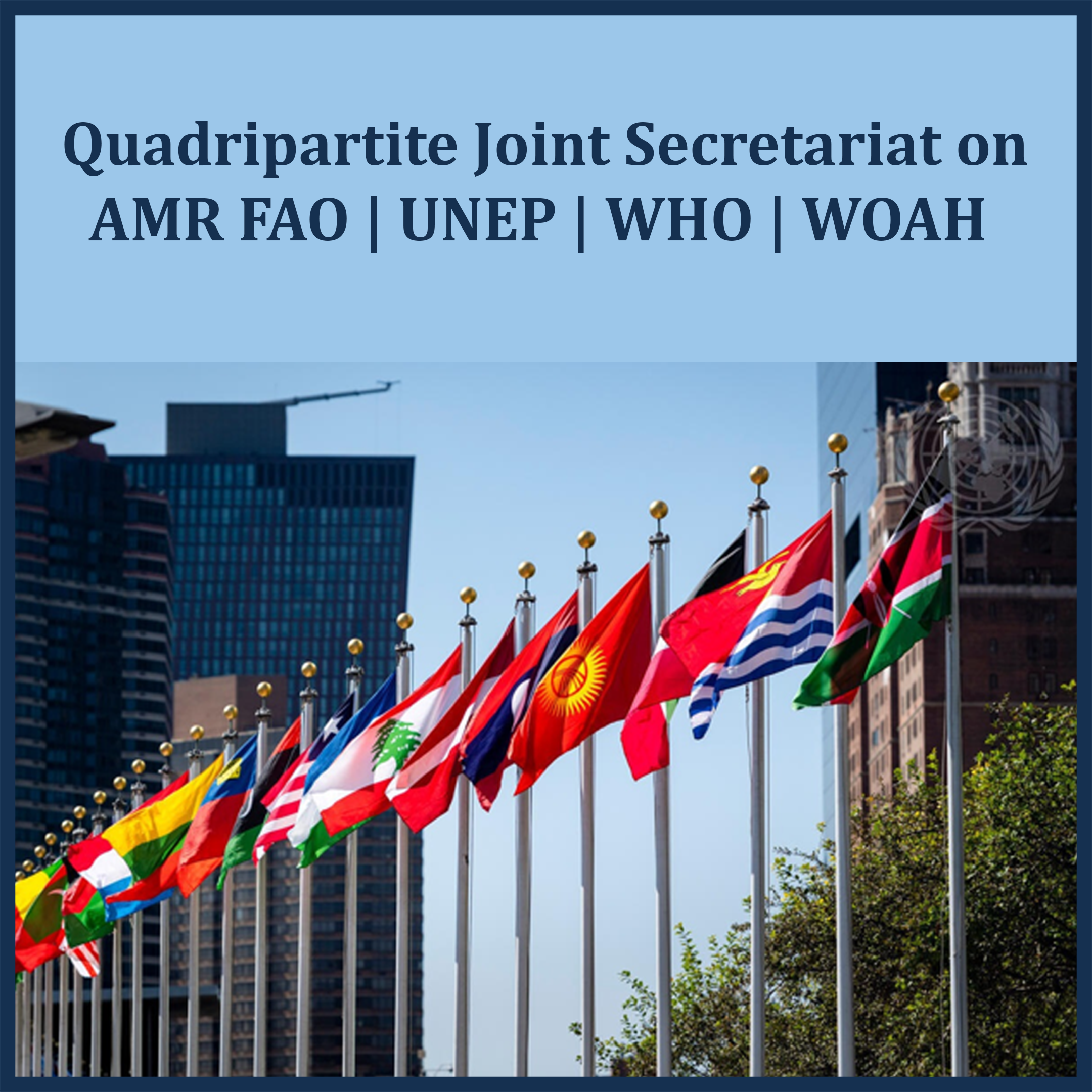 Quadripartite Joint Secretariat on AMR FAO | UNEP | WHO |