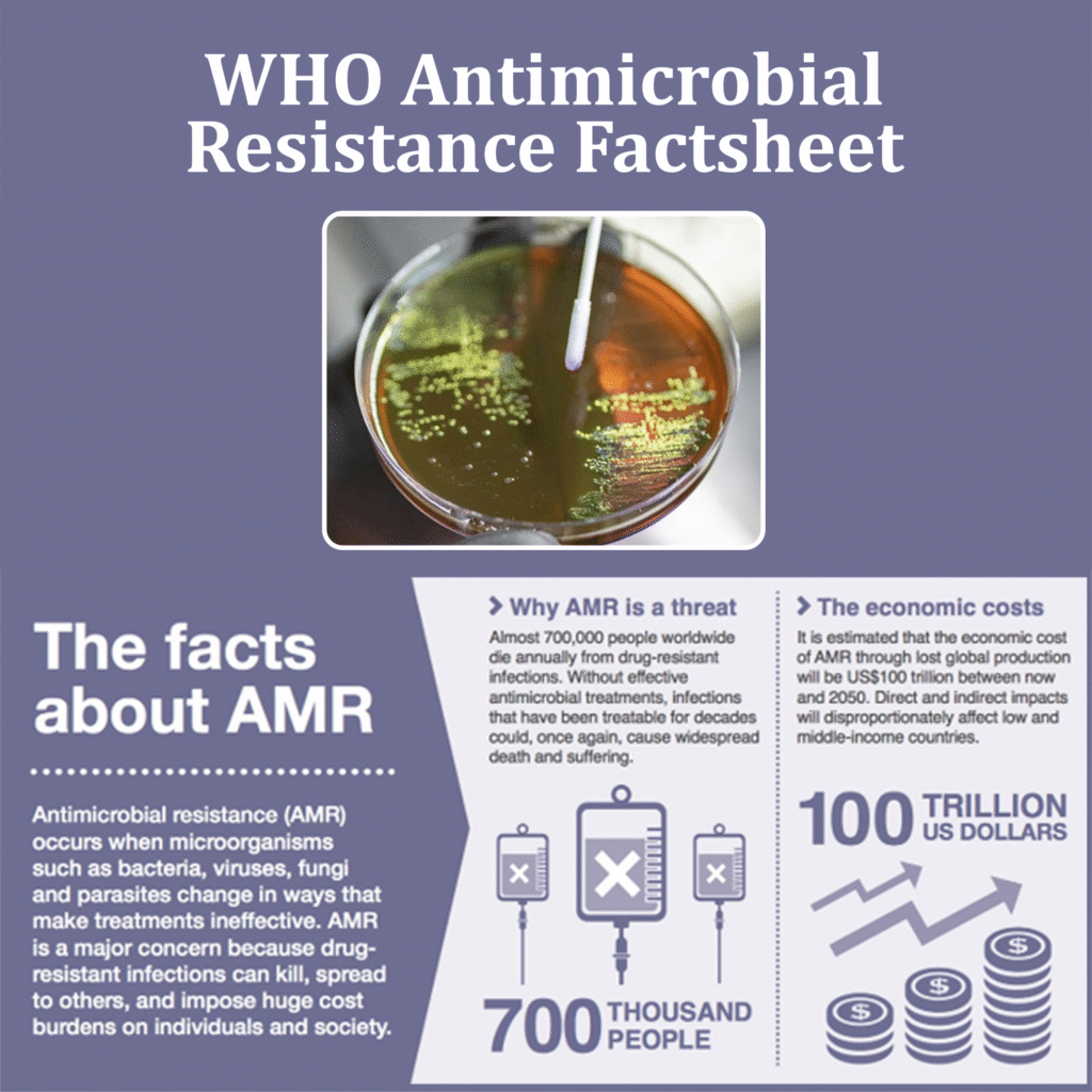 WHO Antimicrobial Resistance Factsheet